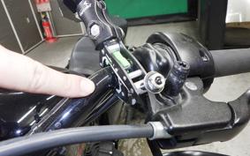 HARLEY XL1200X 2022