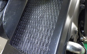 KAWASAKI ELIMINATOR 250 SE EL250A