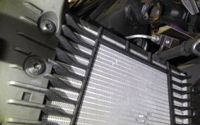 YAMAHA MT-25 A 1995 RG74J