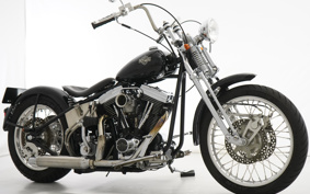 HARLEY Kit Bike 1999 W2E