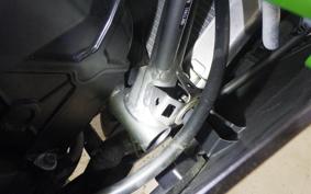 KAWASAKI NINJA 400 2019 EX400G