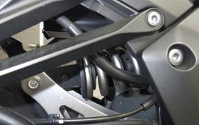 KAWASAKI NINJA 1000 A 2019 ZXT00W