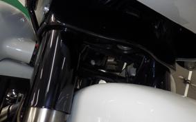 HARLEY FLTRXSE1920CVO 2020