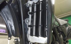 KAWASAKI KLX250 Gen.2 2018 LX250S