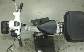 HONDA LITTLE CUB E AA01