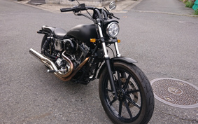 HARLEY FXDL 100th 2003 GDV