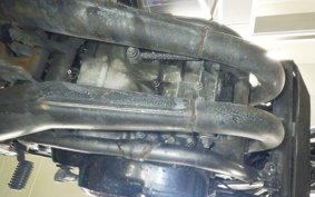 YAMAHA RZ250R 2009 29L