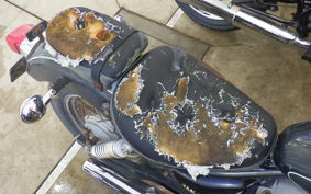 YAMAHA VIRAGO 250 3DM