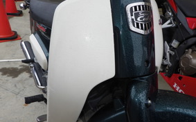 HONDA C110 SUPER CUB JA44