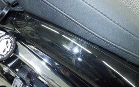 HARLEY FXBR1920 2023