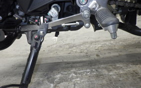 SUZUKI Vｽﾄﾛｰﾑ250A 2022