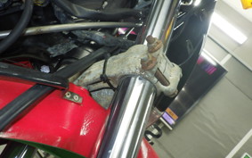 KAWASAKI KDX125 SR 2025 DX125A