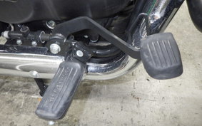 OTHER +ENFIELD ﾒﾃｵ350 2022