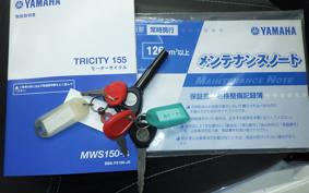 YAMAHA TRICITY 155 A 1996 SG37J