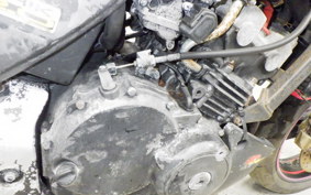 HONDA HORNET 250 MC31