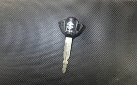 SUZUKI Vｽﾄﾛｰﾑ250A 2025