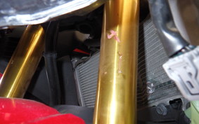 HONDA CBR250RR A MC51