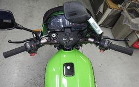 KAWASAKI Z1100 GP 2026 KZT10B