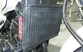 YAMAHA RZ 250 2019 4L3