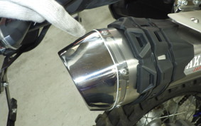 HONDA CRF250L 2024 MD47