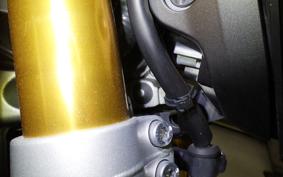 YAMAHA MT-09 2014 RN34J