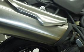 TRIUMPH TIGER 800 2014