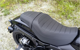 HARLEY X500 2023 W5B