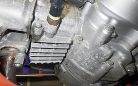 HONDA ｸﾛｽｶﾌﾞ 1998 JA10