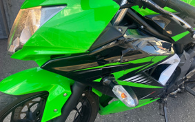KAWASAKI Ninja 250SL BX250A