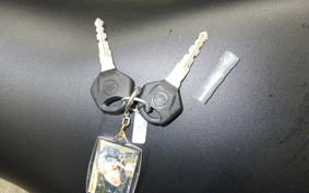 YAMAHA YZF-R3 2024 RH21J