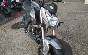 KAWASAKI Z125 PRO BR125H