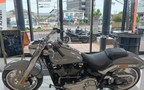 HARLEY  HARLEY FLFBS 2025 YGK