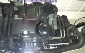 DUCATI SCRAMBLER 2024