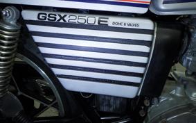 SUZUKI GSX250E GS25X