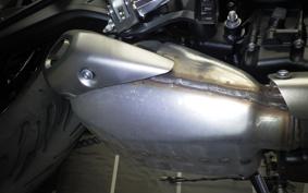 TRIUMPH TRIDENT 660 2024