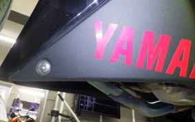 YAMAHA YZF-R25 A 2023 RG10J