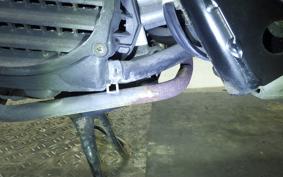 HONDA ZOOMER 2008 AF58