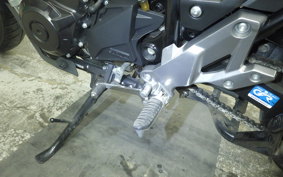 SUZUKI Vｽﾄﾛｰﾑ250 2010