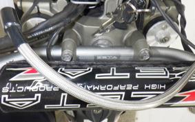 YAMAHA WR250X 2024
