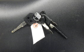 KAWASAKI NINJA 250 2018 EX250L