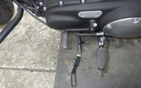 HARLEY XL883N 2018