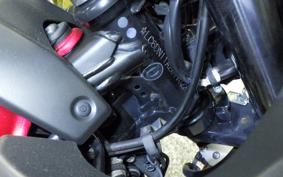 SUZUKI GSX250R 2012