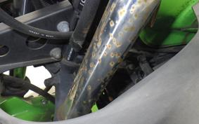 KAWASAKI NINJA 250R EX250K