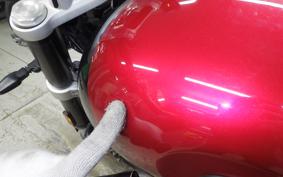 TRIUMPH SPEED TWIN 2024