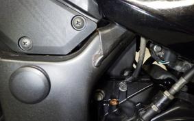 KAWASAKI NINJA 300 2013