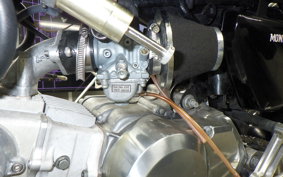 HONDA GORILLA 2009 AB27