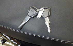 TRIUMPH SPEED ​​TWIN 1200 RS 2025