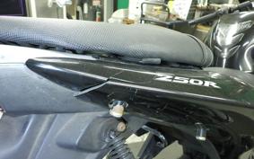 KAWASAKI NINJA 250R EX250K