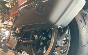 HARLEY FLSB 2021 YMJ