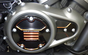 HARLEY RH975 2022